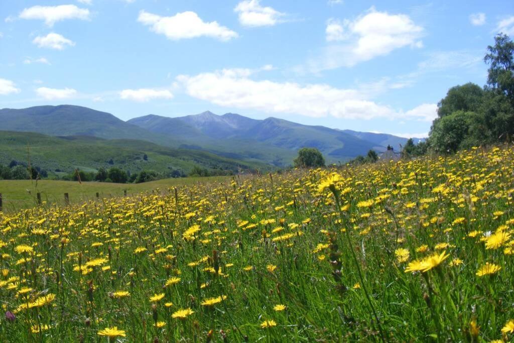 Cul Darach Lodge, Glen Roy Nature Reserve Roybridge Extérieur photo